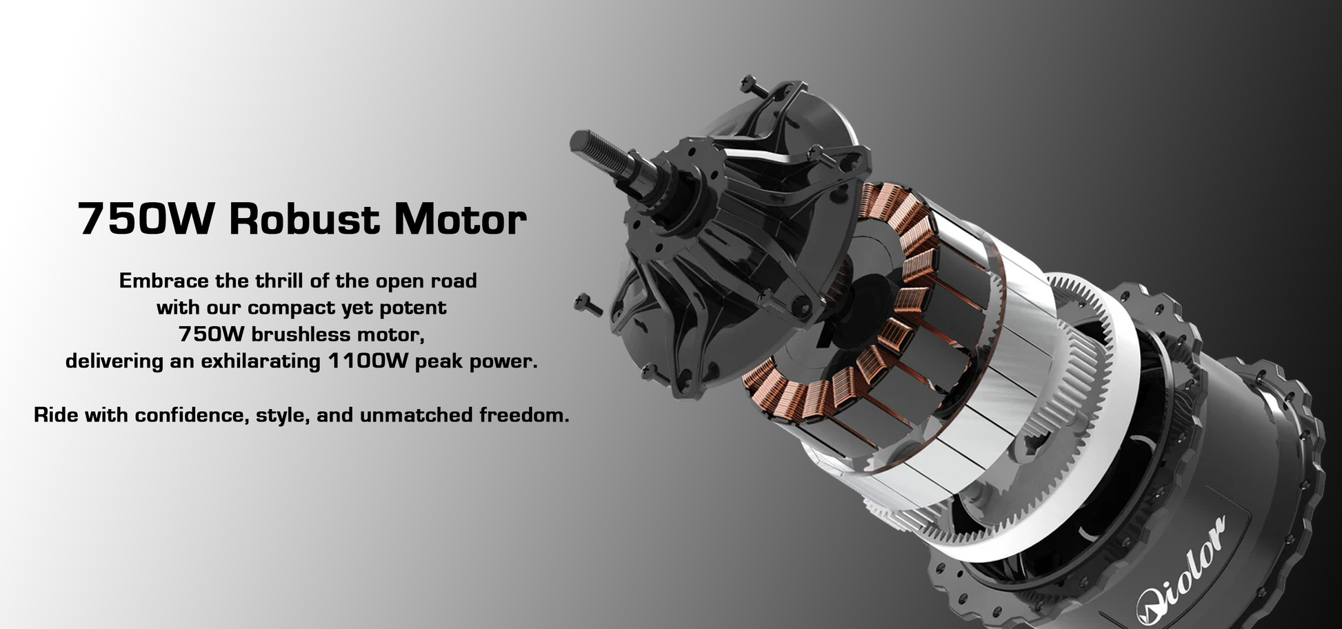 Qiolor Tiger by Vtuvia - Super Cool Retro '73 Mini Motorcycle